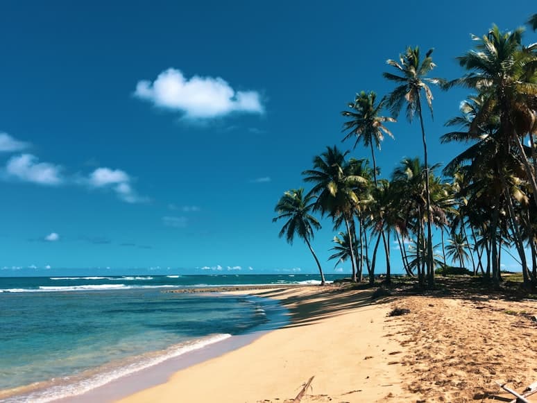 República Dominicana en Grupo