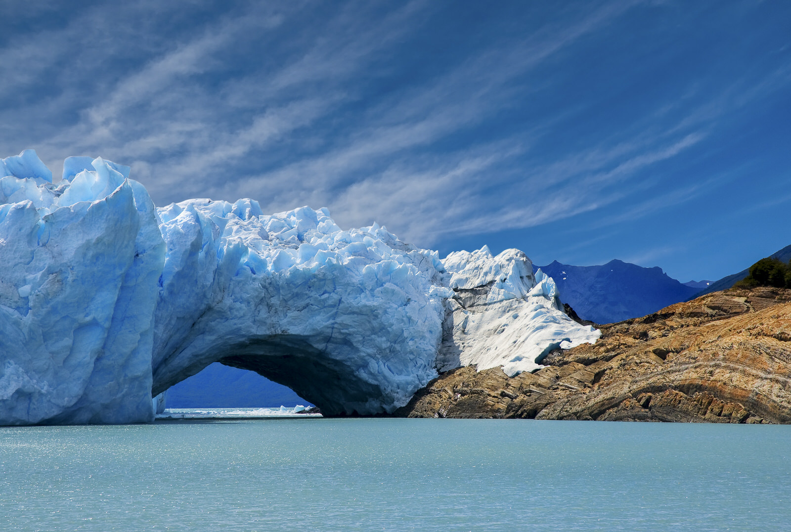 CALAFATE ENERO Y FEBRERO 2025